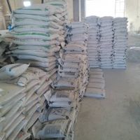 نمایندگی خاک گربه