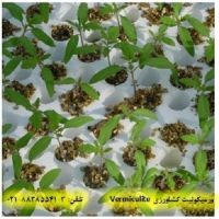 ورمیکولیت و خاصیت تبادل یونی آن در کشاورزی Vermiculite