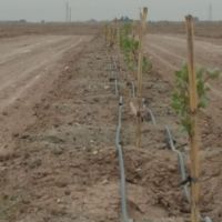 فروش زمین های کشاورزی در ورامین