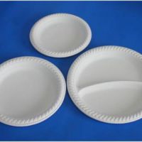 فروش خط تولید ظروف یک بار مصرف گیاهی در تهران