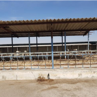 معاوضه یا فروش 4500 متر گاوداری در اصفهان