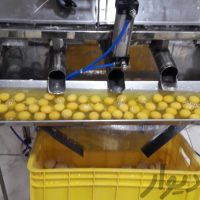 فروش کارخانه تخم مرغ شکنی در گلپایگان