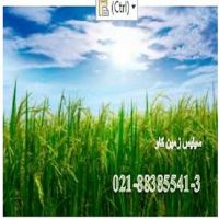 مزیت های استفاده از سیلیس کشاورزی زمین کاو silica