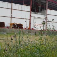 فروس سردخانه دو مداره در گرگان