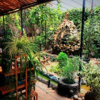 مشاور و طراح احداث کافه و سفره خانه