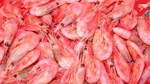 میگو صورتی0