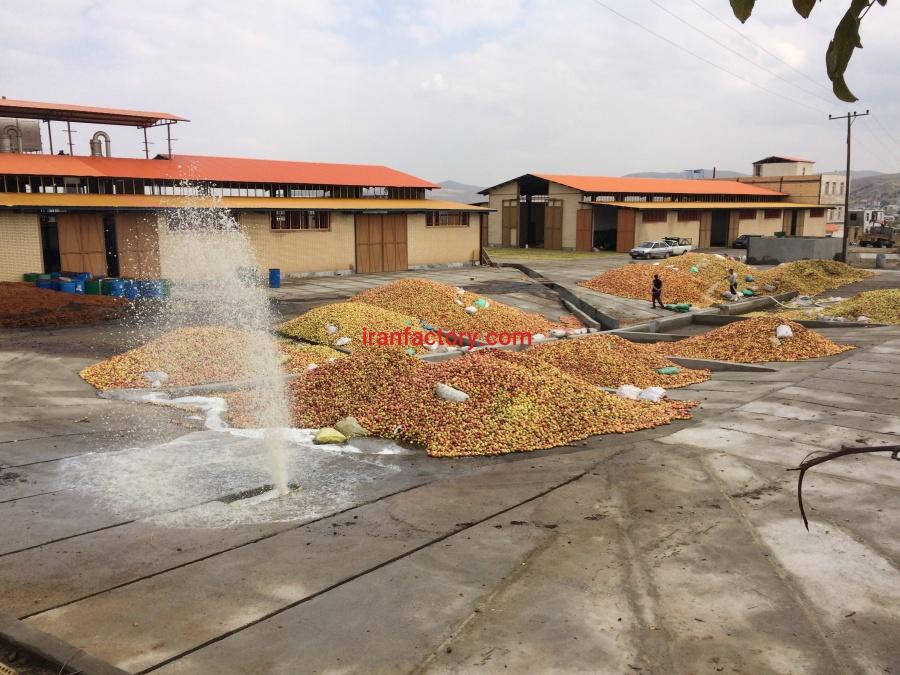 پوره سیب فله و اسپتیک1