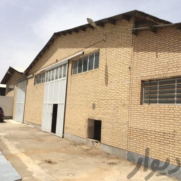 فروش کارخانه رب گوجه فرنگی در تهران2
