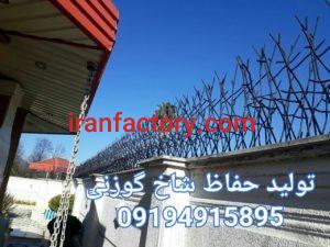 حفاظ شاخ گوزنی از تولید به مصرف4