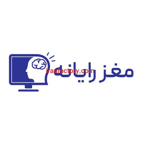 مغز رایانه0