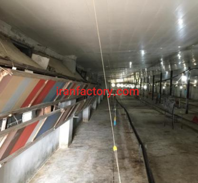 فروش 15000 متر مرغداری در مازندران4