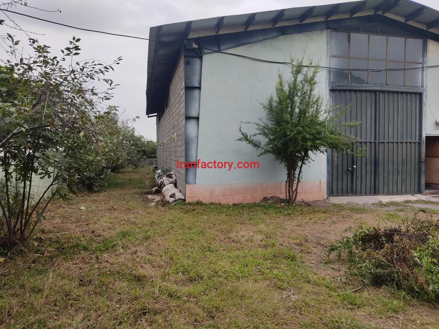 فروش شرکت تولیدی کفش1