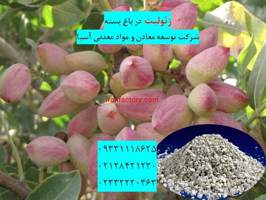 فروش زئولیت  تولید کمپوست1