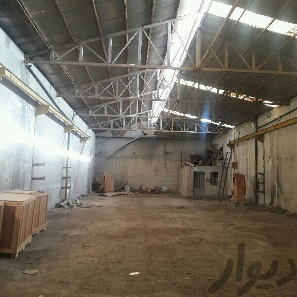 کارگاه فروشی در فردیس4