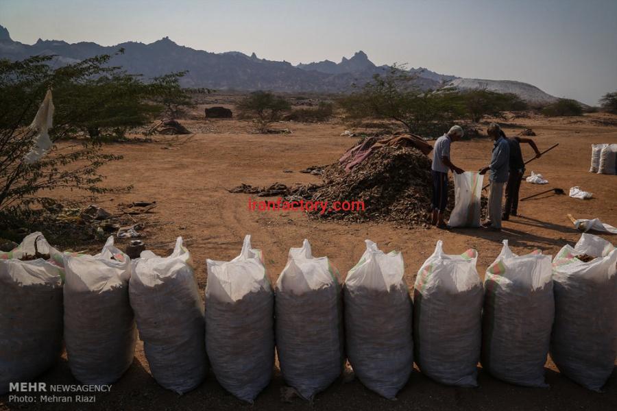فروش ماهی خشک شده مخلوط ، خرید ماهی خشک شده مخلوط برای تولید پودر ماهی7