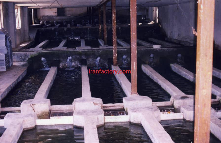 فروش مزرعه پرورش ماهی تهران7