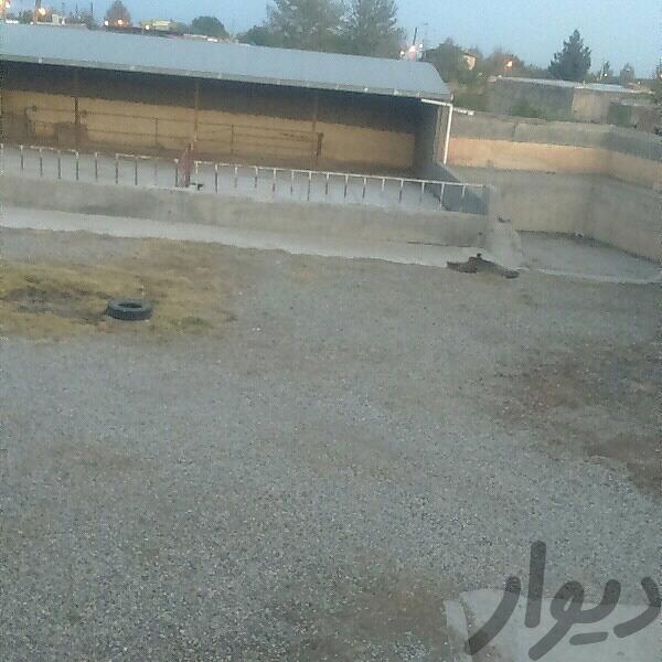 فروش 1500 متر گاوداری در نظرآباد2