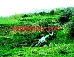 فروش چشمه آب معدنی در گلستان0