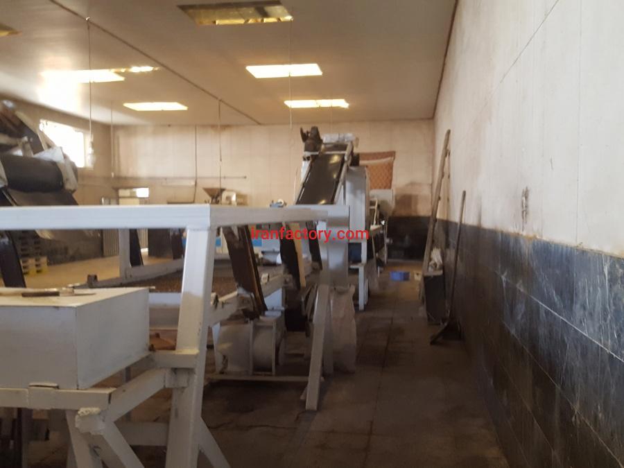 کارخانه خشکبار و سبزه پاکنی2