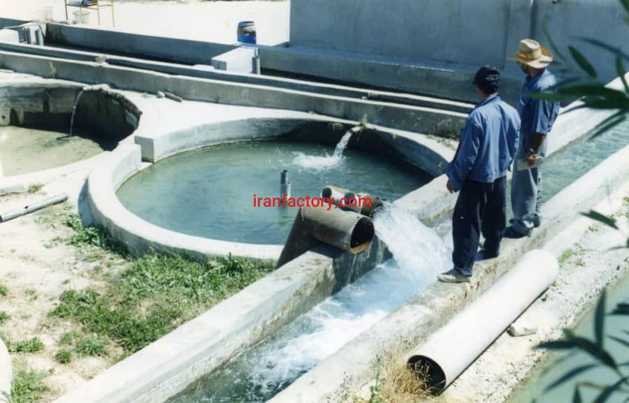 فروش پرورش ماهی در فیروزکوه1