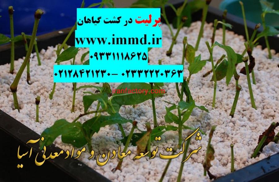 پرلیت برای گیاهان0
