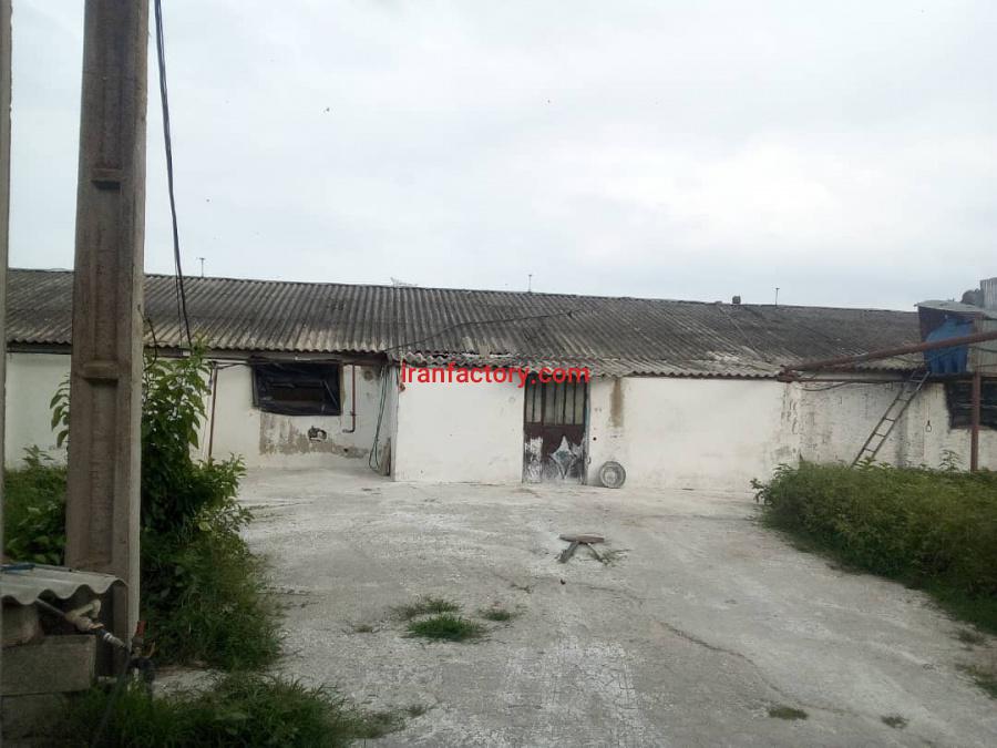 فروش مرغداری در صومعه سرا4