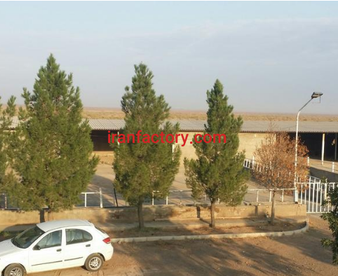فروش 6800 متر دامداری در بویین زهرا0