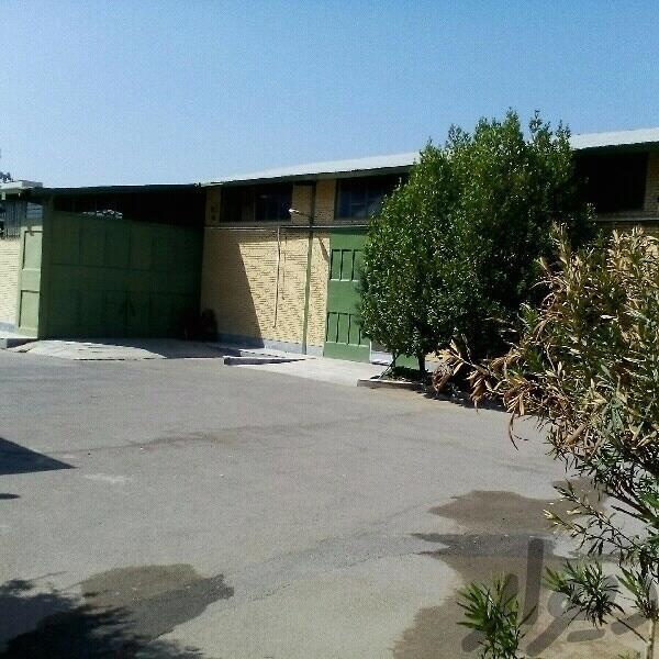 فروش کارخانه فعال بسته بندی4