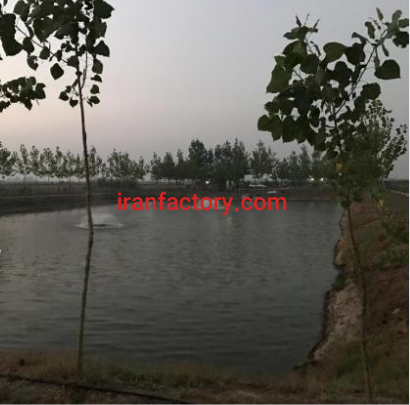 فروش یا معاوضه11000متر پرورش ماهی و باغ مرکبات در جویبار1