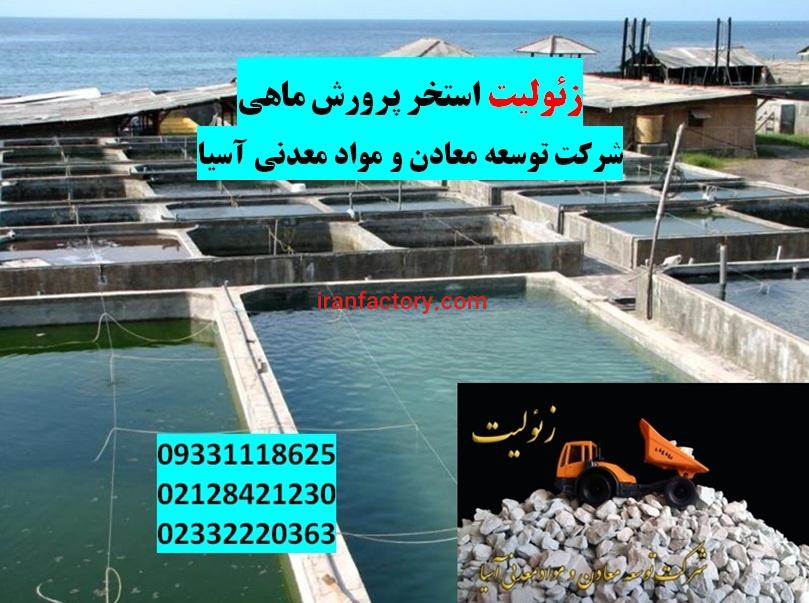 فروش زئولیت ویژه استخرماهی و آکواریوم0