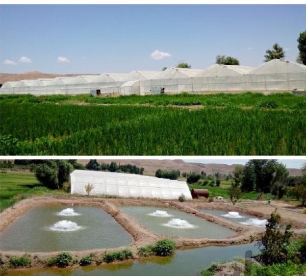 فروش پرورش ماهی و گلخانه در تهران2