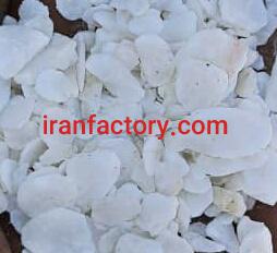 فروش کربنات کلسیم ، کلسیت ، پودر میکرونیزه کربنات کلسیم در کردستان7