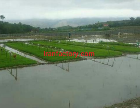 فروش 10000 متر زمین با مجوز مرغداری در فریم1