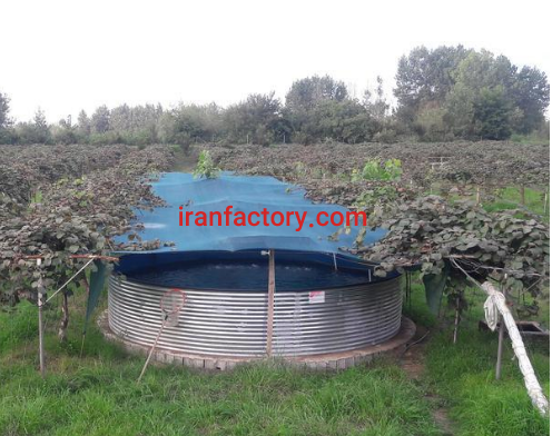 فروش 15670 مترباغ کیوی و پرورش ماهی در رودسر2