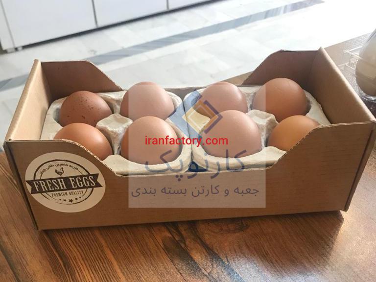 طراحی و تولید کارتن تخم مرغ ( کارتن سازی کارنوپک )0