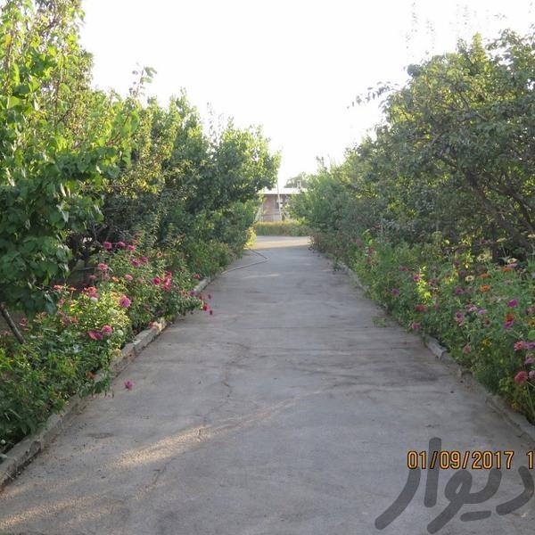 فروش 20800متر مرغداری تخم گذار با مجوز جوجه ریزی 36000 قطعه در کرج0