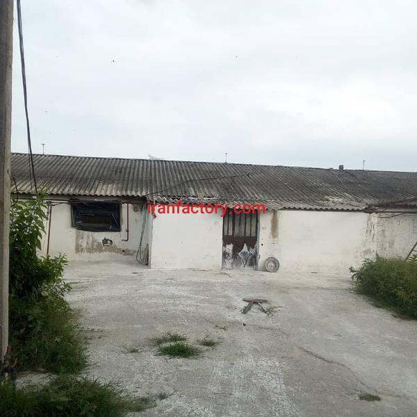 مرغداری فعال در صومعه سرا2