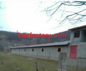 فروش 2051 متر دامداری در رضوانشهر0