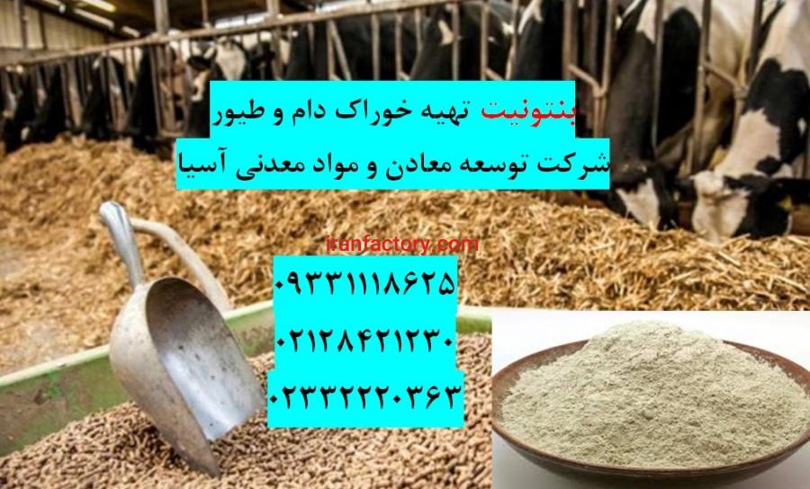 تاثیر بنتونیت در خوراک دام و طیور وآبزیان0