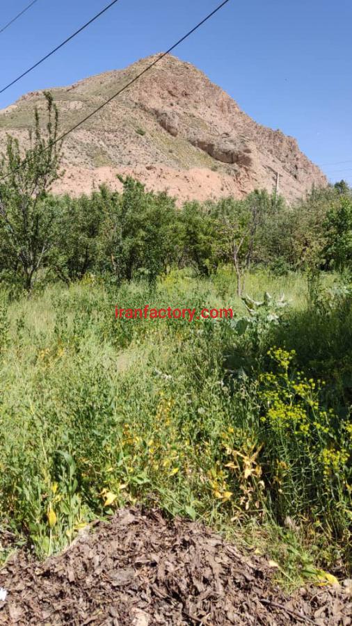 فروش مزرعه پرورش ماهی تهران1