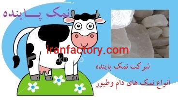 بسته بندی های متنوع نمک پاینده1
