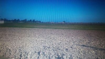 فروش زمین مرکز تحقیقات در  بندرگز1