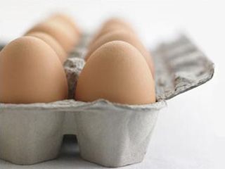 تجارت شانه تخم مرغ0