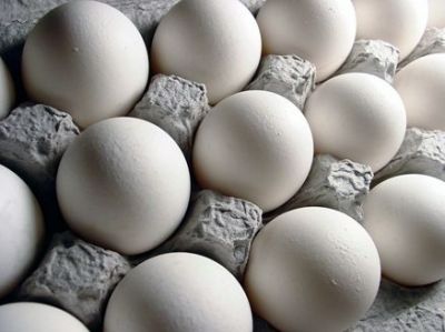 بازاریابی شانه تخم مرغ0
