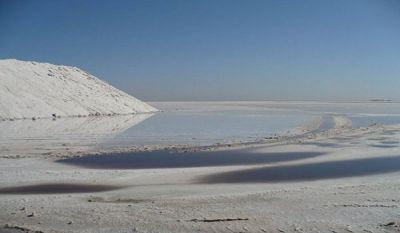 جذب مشتري براي نمک صادراتي1