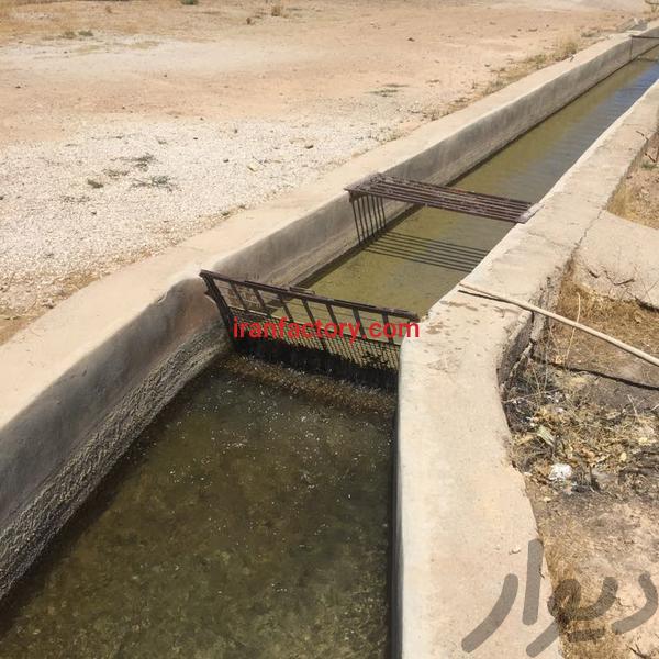 فروش پرورش ماهی در شیراز2