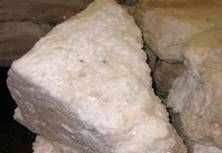 فروش بالاي نمک دامي و دامداري 0