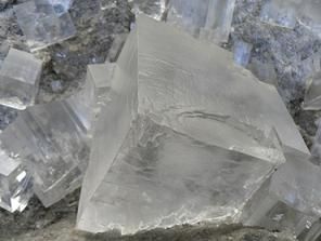 فروش نمک دامي و دامداري 1