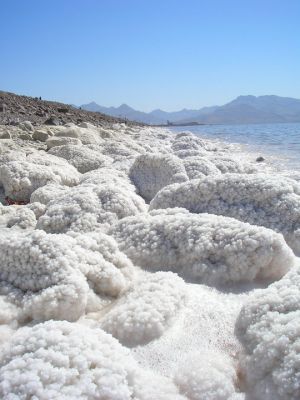 سفارش خريد نمک دامي و دامداري 1