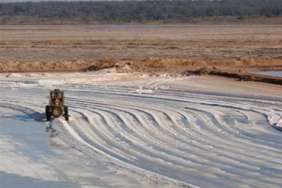 سفارش خريد نمک دامي و دامداري 0